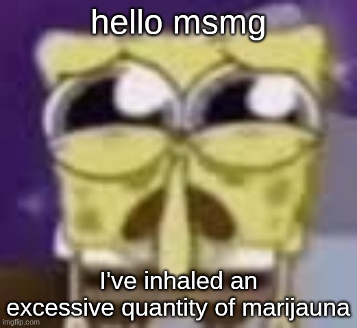 Spunchbop all sad n shit | hello msmg; I've inhaled an excessive quantity of marijauna | image tagged in spunchbop all sad n shit | made w/ Imgflip meme maker
