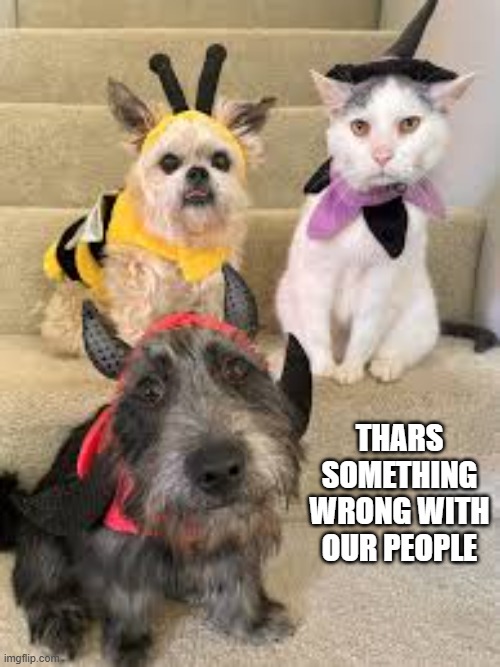 I don't think cats and dogs like to have costumes put on them for Halloween. | THARS SOMETHING WRONG WITH OUR PEOPLE | image tagged in cats,dogs,kittens,funny,humor,halloween | made w/ Imgflip meme maker