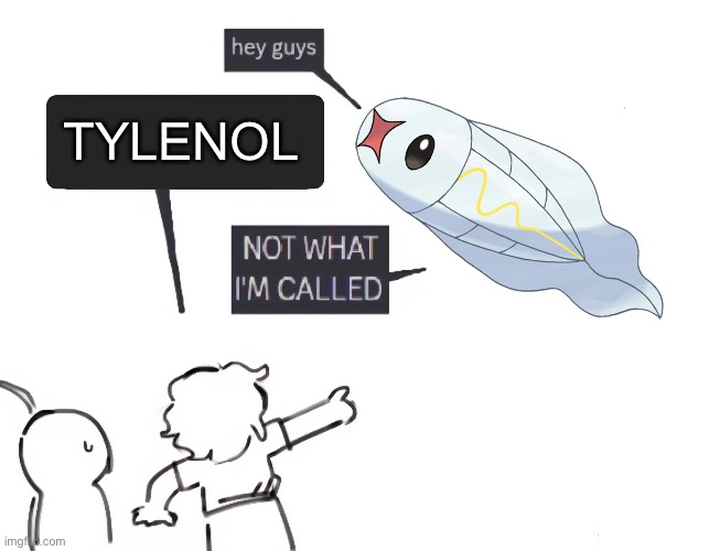 there are so many more of these i could do | TYLENOL | image tagged in not what im called | made w/ Imgflip meme maker