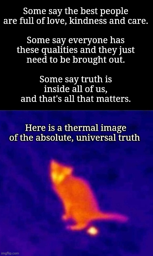 absolute truth | Some say the best people
are full of love, kindness and care.
 
Some say everyone has
these qualities and they just
need to be brought out.
 
Some say truth is
inside all of us,
and that's all that matters.
 
 
Here is a thermal image
of the absolute, universal truth | image tagged in motivational,cats,poop,truth,spiritual,recovery | made w/ Imgflip meme maker