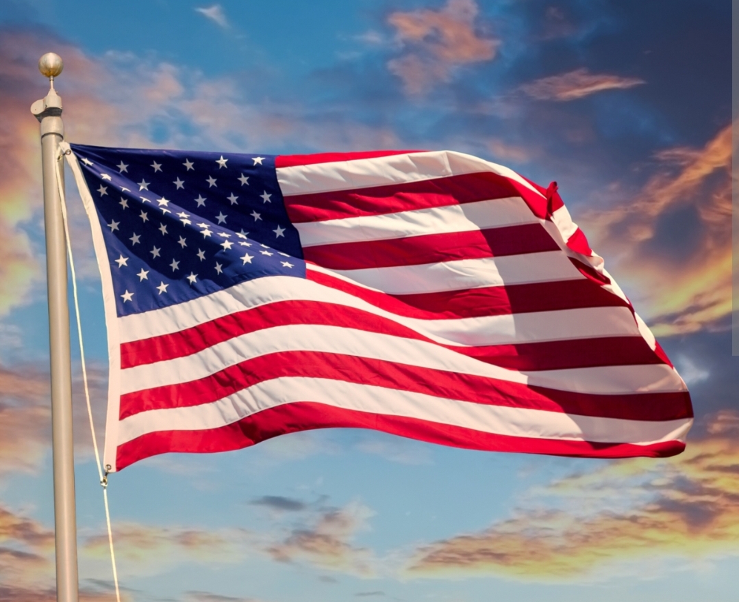 Flag Blank Meme Template