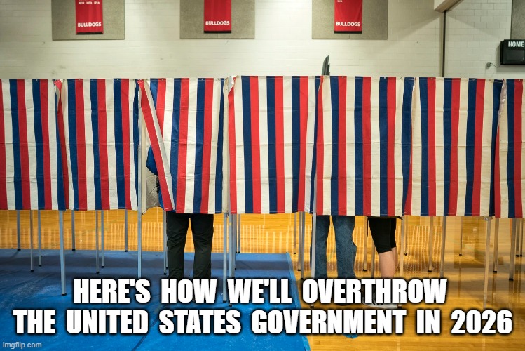 Overthrowing the Regime | HERE'S  HOW  WE'LL  OVERTHROW  THE  UNITED  STATES  GOVERNMENT  IN  2026 | image tagged in voting | made w/ Imgflip meme maker