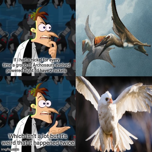 Birds are Dinosaurs | If i had a nickel for every time a group of Archosaurs evolved powered flight I'd have 2 nickels; Which isn't a lot but it's weird that it happened twice | image tagged in if i had a nickle,memes,history memes,funny,lol,animal meme | made w/ Imgflip meme maker