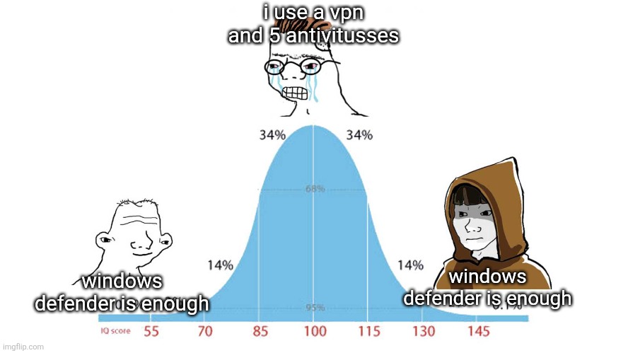 Vaov | i use a vpn and 5 antivitusses; windows defender is enough; windows defender is enough | image tagged in gauss wojak,pc,pc gaming,wojak,happy wojak vs depressed wojak,pickle | made w/ Imgflip meme maker