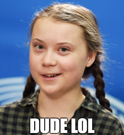 Greta Thunberg | DUDE LOL | image tagged in greta thunberg | made w/ Imgflip meme maker