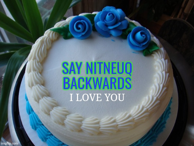 sorry cake | SAY NITNEUQ BACKWARDS; I LOVE YOU | image tagged in sorry cake | made w/ Imgflip meme maker