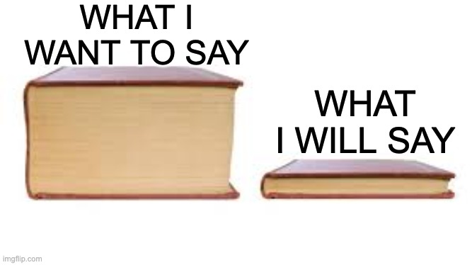 Big book small book | WHAT I WANT TO SAY; WHAT I WILL SAY | image tagged in big book small book | made w/ Imgflip meme maker