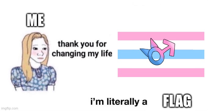 Whoever made this Flag is a amazing Person | ME; FLAG | image tagged in thank you for changing my life,femboysexual,femboys,femboy,femboys are objects,flag | made w/ Imgflip meme maker