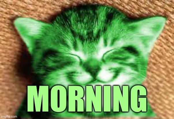 happy RayCat | MORNING | image tagged in happy raycat | made w/ Imgflip meme maker