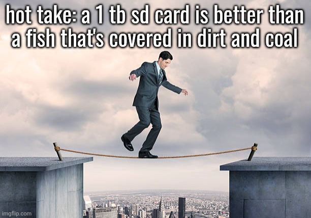 man walking on rope | hot take: a 1 tb sd card is better than
a fish that's covered in dirt and coal | image tagged in man walking on rope | made w/ Imgflip meme maker