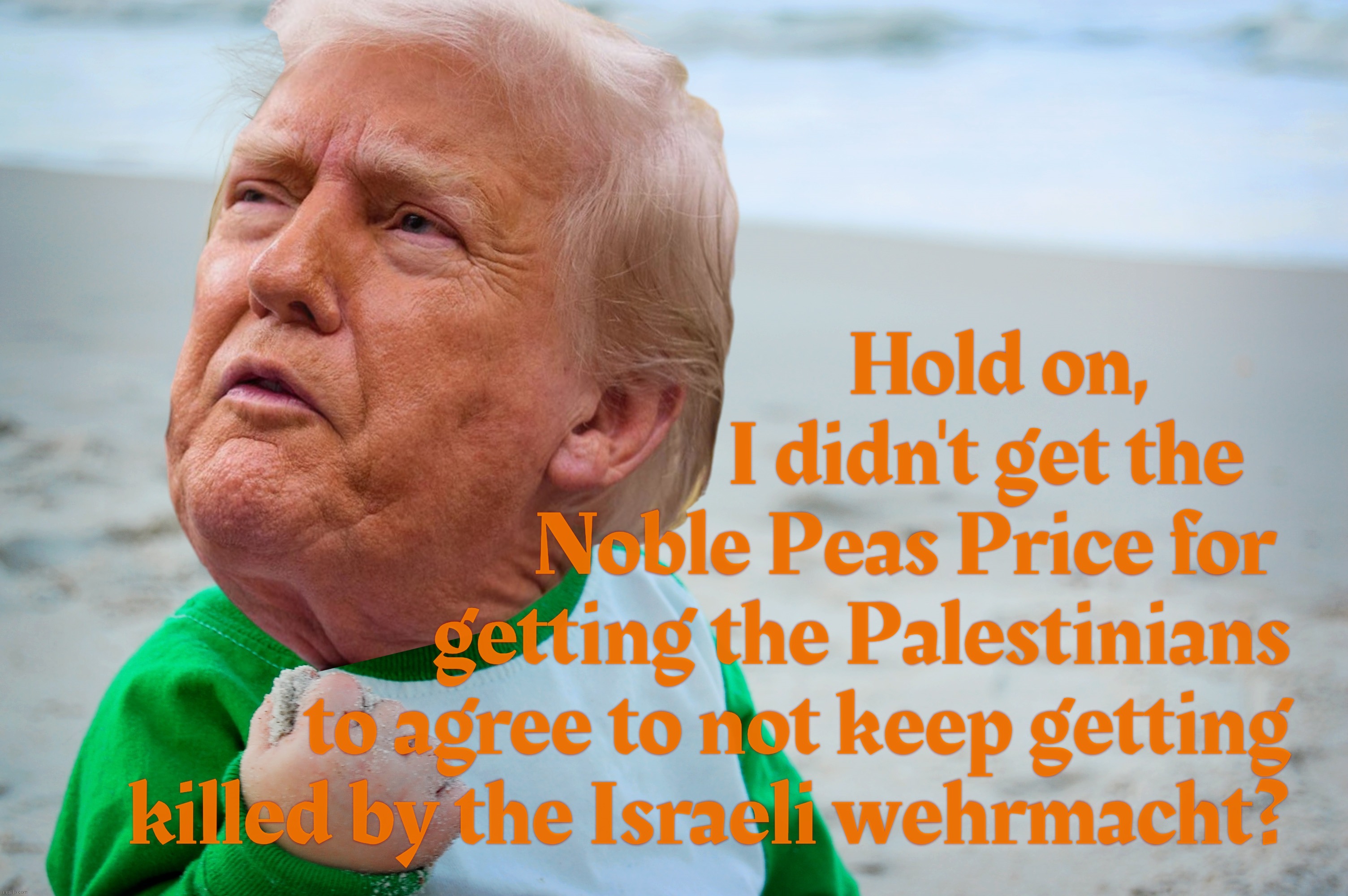 Trump couldn't get prices down, but one price that did get him down was the Noble Peas Price evading his little fingers | Hold on,          
I didn't get the    
Noble Peas Price for  
getting the Palestinians 
to agree to not keep getting 
killed by the Israeli | image tagged in success kid,trump,trump sad,nobel peace prize,noble peas price,sucks bruh | made w/ Imgflip meme maker