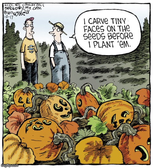 It’s faster that way… | image tagged in repost,comics,pumpkins,precarve,seeds | made w/ Imgflip meme maker