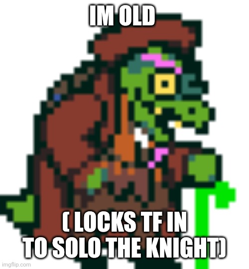 Gerson Boom Deltarune | IM OLD ( LOCKS TF IN TO SOLO THE KNIGHT) | image tagged in gerson boom deltarune | made w/ Imgflip meme maker