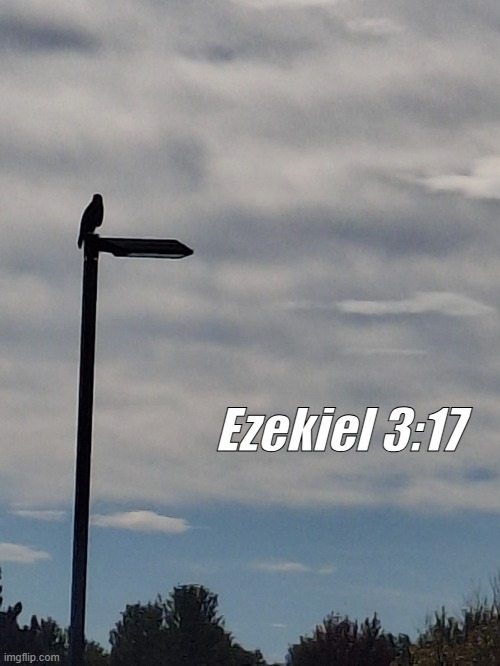 Falcon Post - Ezekiel 3:17 | Ezekiel 3:17 | image tagged in falcon,bible verse,ezekiel | made w/ Imgflip meme maker