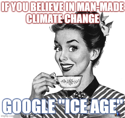 read a book | IF YOU BELIEVE IN MAN-MADE
CLIMATE CHANGE; GOOGLE "ICE AGE" | image tagged in retro woman teacup,global warming,climate change | made w/ Imgflip meme maker