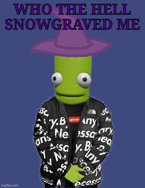SPOOKY epilektoi drip | WHO THE HELL SNOWGRAVED ME | image tagged in spooky epilektoi drip | made w/ Imgflip meme maker