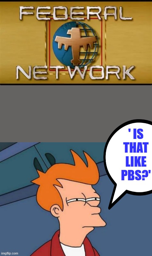 ' IS THAT LIKE PBS?' | image tagged in memes,futurama fry | made w/ Imgflip meme maker