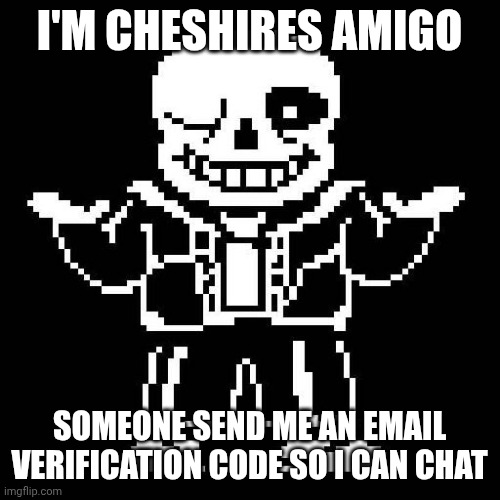 sans undertale | I'M CHESHIRES AMIGO; SOMEONE SEND ME AN EMAIL VERIFICATION CODE SO I CAN CHAT | image tagged in sans undertale | made w/ Imgflip meme maker