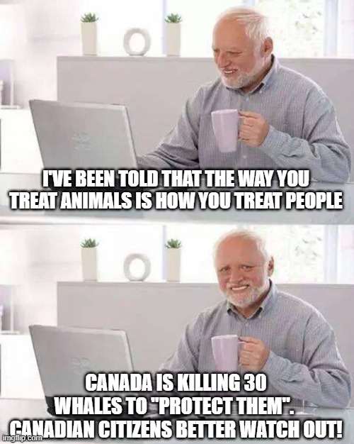 Hide the Pain Harold | I'VE BEEN TOLD THAT THE WAY YOU TREAT ANIMALS IS HOW YOU TREAT PEOPLE; CANADA IS KILLING 30 WHALES TO "PROTECT THEM".  CANADIAN CITIZENS BETTER WATCH OUT! | image tagged in memes,hide the pain harold | made w/ Imgflip meme maker