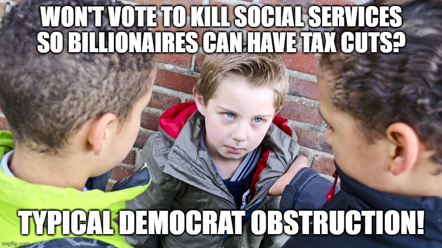WON'T VOTE TO KILL SOCIAL SERVICES SO BILLIONAIRES CAN HAVE TAX CUTS? TYPICAL DEMOCRAT OBSTRUCTION! | image tagged in tax cuts for the rich,gop,bullying | made w/ Imgflip meme maker