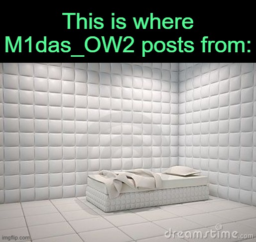 . | This is where M1das_OW2 posts from: | image tagged in insane asylum pillow room | made w/ Imgflip meme maker