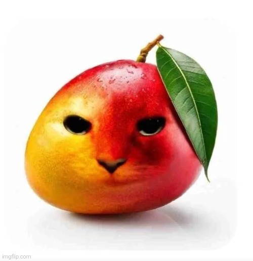 Cat mango | image tagged in cat mango | made w/ Imgflip meme maker