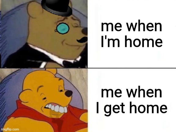 Fancy and Idiot Pooh | me when I'm home; me when I get home | image tagged in fancy and idiot pooh | made w/ Imgflip meme maker