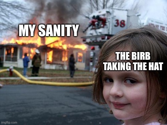 MY SANITY THE BIRB TAKING THE HAT | image tagged in memes,disaster girl | made w/ Imgflip meme maker