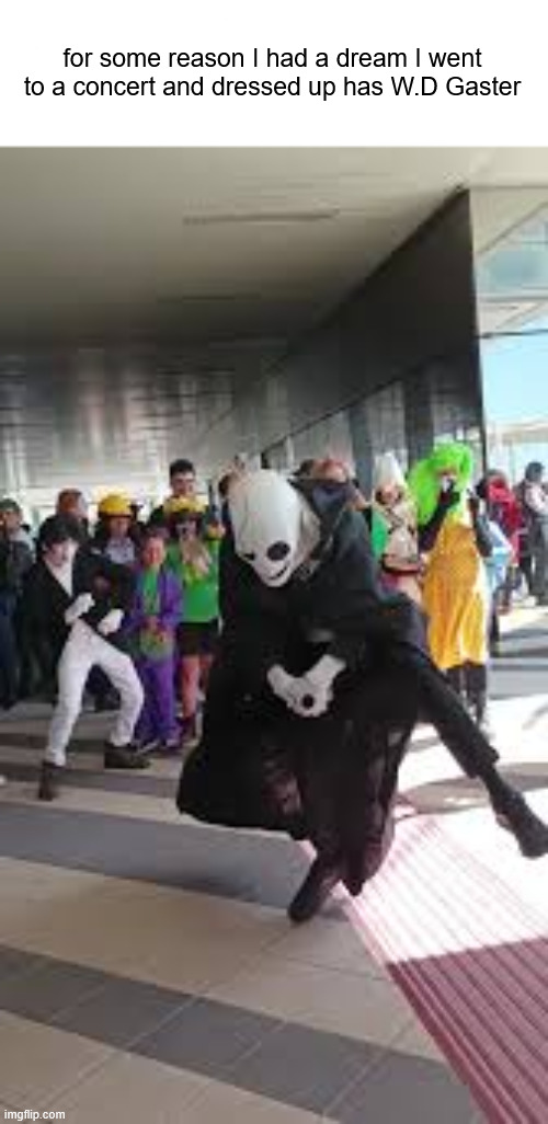 for some reason I had a dream I went to a concert and dressed up has W.D Gaster | made w/ Imgflip meme maker