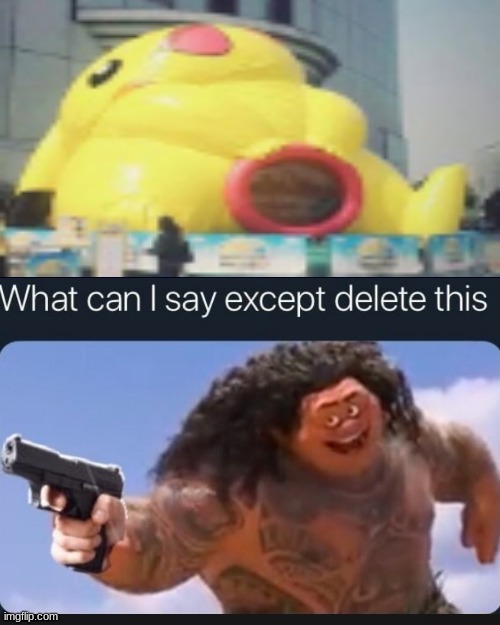 pls no | image tagged in what can i say except delete this,memes,pikachu,what the fu- | made w/ Imgflip meme maker