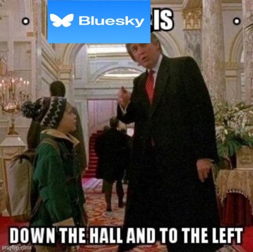 New temp | image tagged in bluesky is down the hall to the left | made w/ Imgflip meme maker