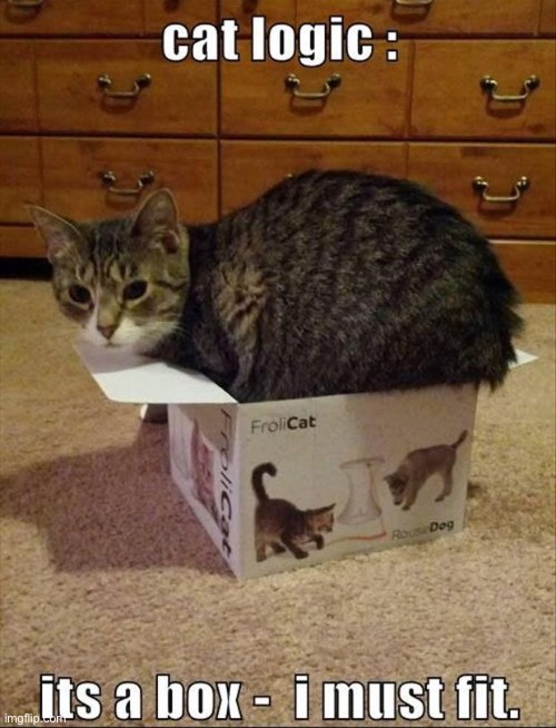 He loves a challenge… | image tagged in cats,box,logic,i must fit,small box,big cat | made w/ Imgflip meme maker