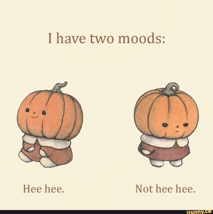 I have two moods Blank Meme Template