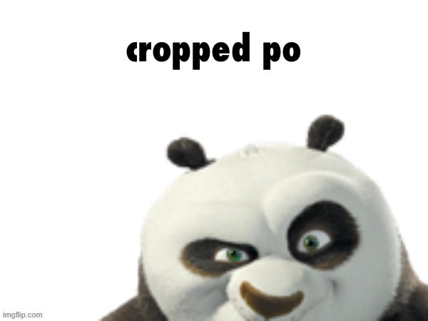 here as promised | image tagged in cropped po | made w/ Imgflip meme maker