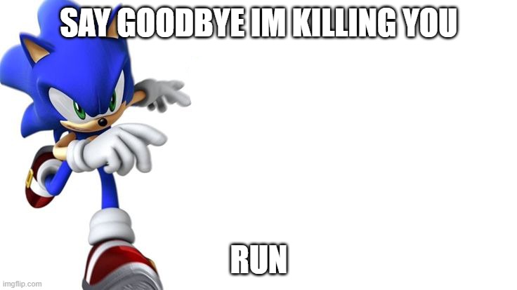 Sonic says | SAY GOODBYE IM KILLING YOU; RUN | image tagged in sonic says | made w/ Imgflip meme maker