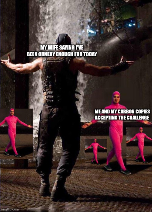 Pink Guy vs Bane | MY WIFE SAYING I'VE BEEN ORNERY ENOUGH FOR TODAY; ME AND MY CARBON COPIES ACCEPTING THE CHALLENGE | image tagged in pink guy vs bane | made w/ Imgflip meme maker