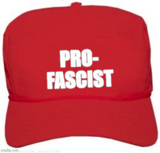 New MAGA Merch Pro-Fascist | PRO-
FASCIST | image tagged in new maga merch pro-fascist,anti-antifa cap,lined with foil for your protection,maga mad hatters club of hats | made w/ Imgflip meme maker