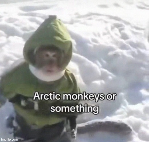 Monke | image tagged in monke | made w/ Imgflip meme maker