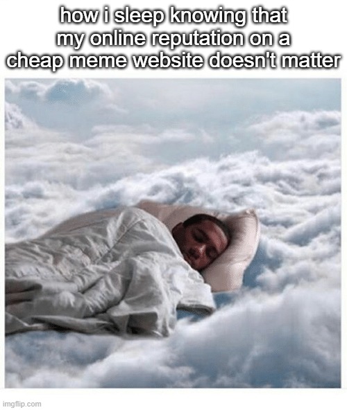 How I sleep knowing | how i sleep knowing that my online reputation on a cheap meme website doesn't matter | image tagged in how i sleep knowing | made w/ Imgflip meme maker
