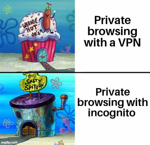 This is a chase for privacy | image tagged in memes,funny,vpn,relatable memes,so true | made w/ Imgflip meme maker