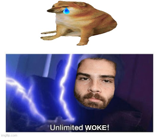 Hassan dog meme | WOKE | image tagged in unlimited power,memes,hassan,woke,politics | made w/ Imgflip meme maker