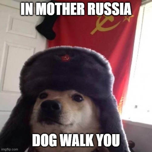 Communist dog | IN MOTHER RUSSIA DOG WALK YOU | image tagged in communist dog | made w/ Imgflip meme maker