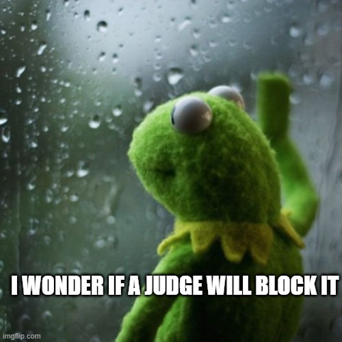 sometimes I wonder  | I WONDER IF A JUDGE WILL BLOCK IT | image tagged in sometimes i wonder | made w/ Imgflip meme maker