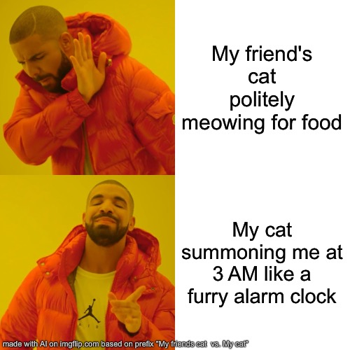 Drake Hotline Bling Meme | My friend's cat politely meowing for food; My cat summoning me at 3 AM like a furry alarm clock | image tagged in memes,drake hotline bling | made w/ Imgflip meme maker