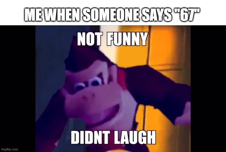 Not funny didn't laugh | ME WHEN SOMEONE SAYS "67" | image tagged in not funny didn't laugh | made w/ Imgflip meme maker