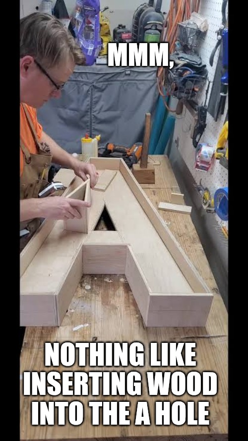 Wood insertion | MMM, NOTHING LIKE INSERTING WOOD INTO THE A HOLE | image tagged in wood | made w/ Imgflip meme maker