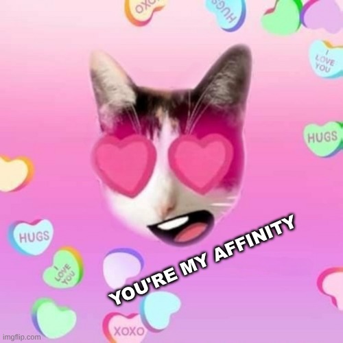 YOU'RE MY AFFINITY | made w/ Imgflip meme maker