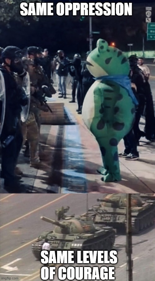 Invaded POLAND , nah Invaded PORtlAND | SAME OPPRESSION; SAME LEVELS OF COURAGE | image tagged in i am portland frog,tiananmen square tank man | made w/ Imgflip meme maker