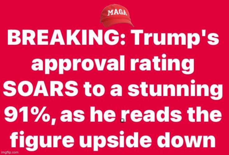 Donald Trump idiot | . | image tagged in donald trump,republicans,maga,conservatives,right w | made w/ Imgflip meme maker
