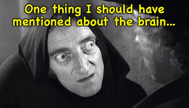 igor thorry | One thing I should have mentioned about the brain... | image tagged in igor thorry | made w/ Imgflip meme maker